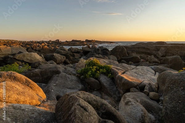 Fototapeta atardecer mar