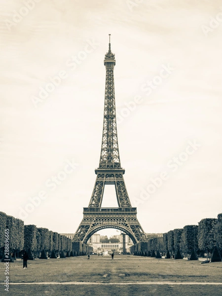 Obraz パリ　エッフェル塔　縦位置　セピア