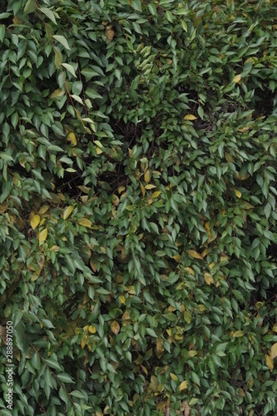 Obraz OLYMPUS DIGITAL CAMERA