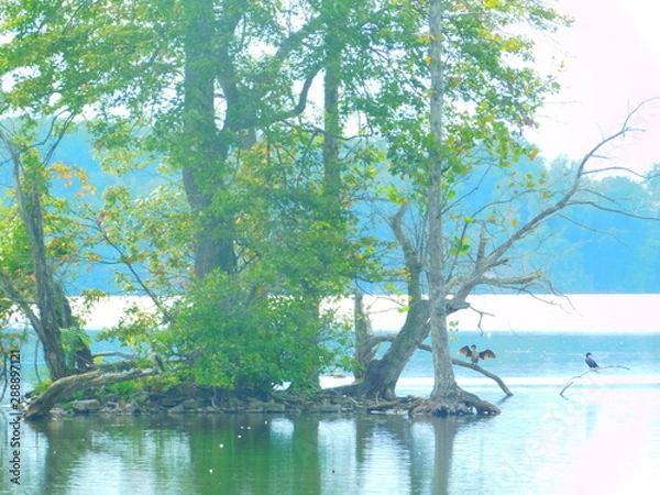 Obraz Drying his wings