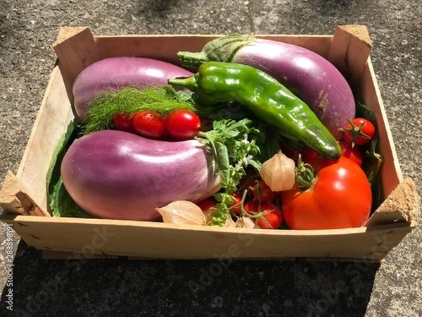 Obraz vegetables on wooden table