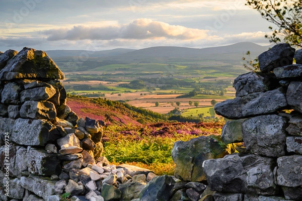 Fototapeta Widok zamku Ros na zachód przez Suchy Kamienny Mur, znany również jako Ros Hill, ze względu na starożytny prehistoryczny Hillfort na szczycie, położony w pobliżu Chillingham w Northumberland i ma wspaniałe widoki