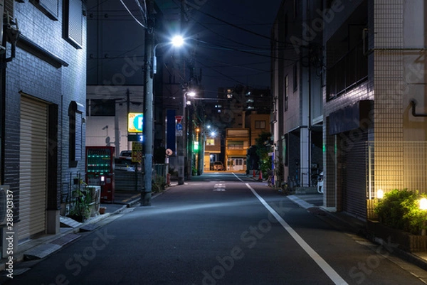 Obraz 夜の住宅街