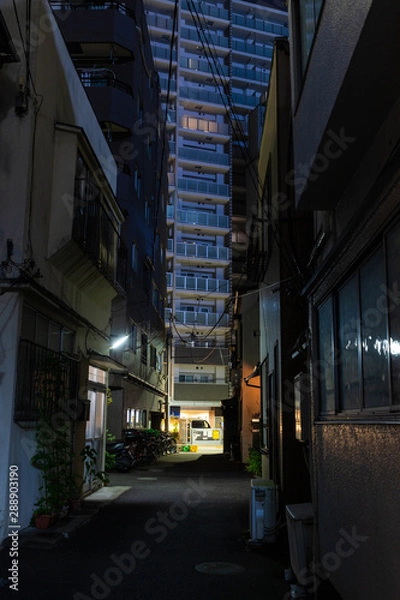 Obraz 夜の住宅街