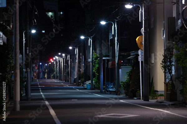 Obraz 夜の住宅街