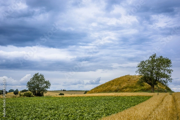 Obraz Hügelgrab auf Fünen