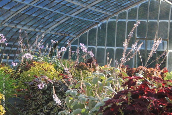 Obraz 2021 06 - Serre 2