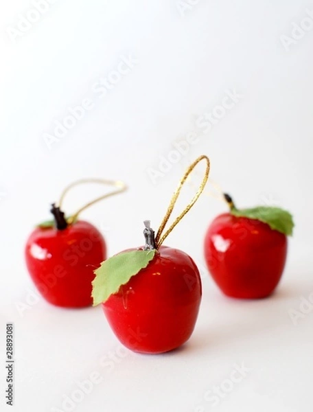 Obraz Christmas decoration