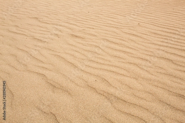 Obraz Rippled Patterns in the Sand on a Beach