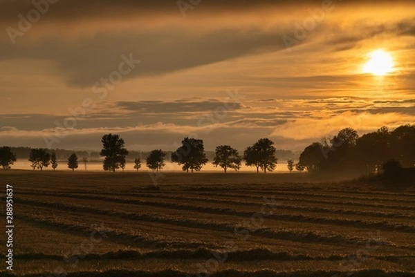 Obraz Hazy september