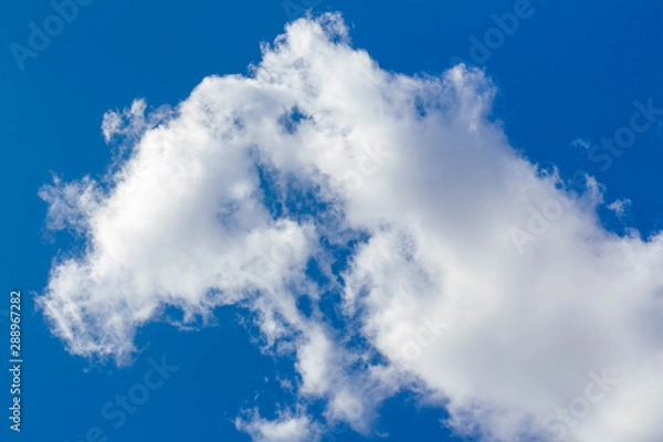 Obraz White clouds in a blue sky