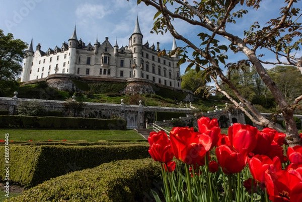 Obraz Dunrobin Castle Flowers