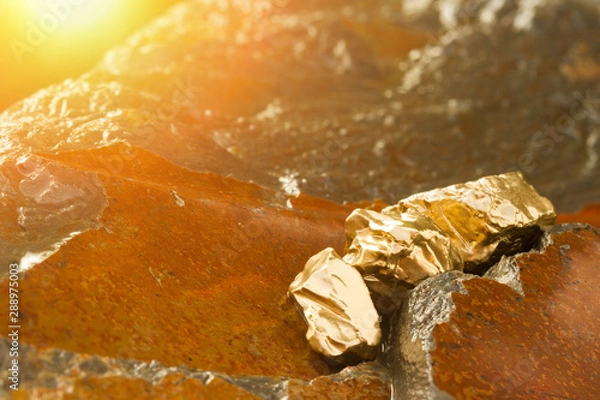 Obraz The pure gold ore found in the mine on a wet stone by the river. Golden bar in nature with shiny sunlight close up. Success and Investing Concept image.