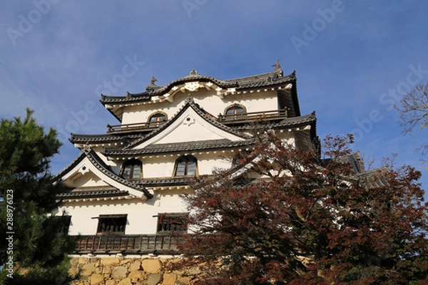 Fototapeta 晩秋の彦根城