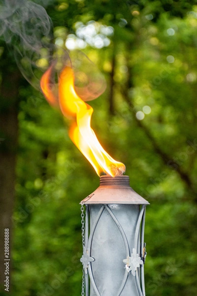 Obraz torch