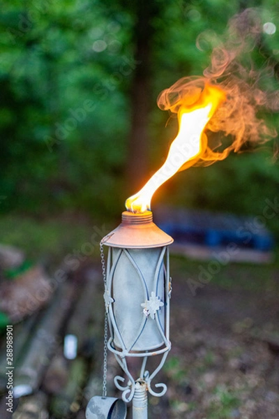 Obraz torch