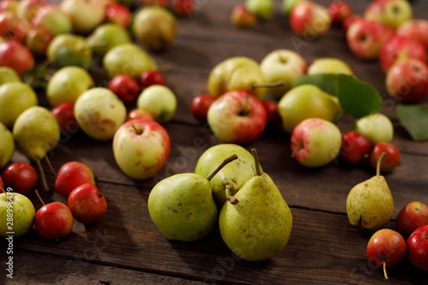 Fototapeta Background from ripe juicy pears and apples for your design. Close-up. Harvest.