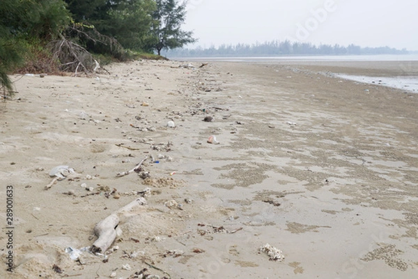 Fototapeta Lok Kawi, Kota Kinabalu, Sabah, Malaysia - September 08, 2019: There is a lot of rubbish left in Lok Kawi Beach. This rubbish are dumped into the sea and washed away to this beach.