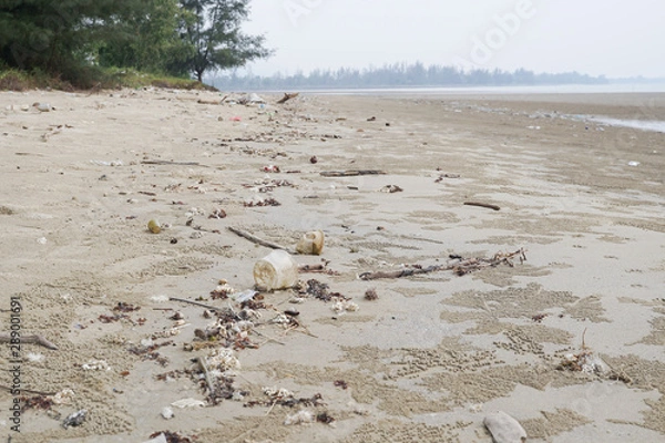 Fototapeta Lok Kawi, Kota Kinabalu, Sabah, Malaysia - September 08, 2019: There is a lot of rubbish left in Lok Kawi Beach. This rubbish are dumped into the sea and washed away to this beach.