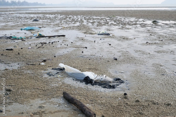 Fototapeta Lok Kawi, Kota Kinabalu, Sabah, Malaysia - September 08, 2019: There is a lot of rubbish left in Lok Kawi Beach. This rubbish are dumped into the sea and washed away to this beach.