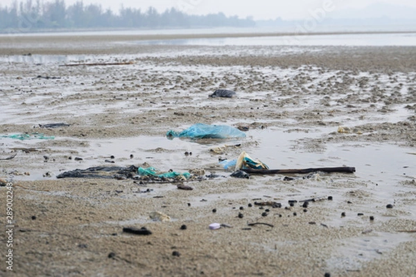 Fototapeta Lok Kawi, Kota Kinabalu, Sabah, Malaysia - September 08, 2019: There is a lot of rubbish left in Lok Kawi Beach. This rubbish are dumped into the sea and washed away to this beach.