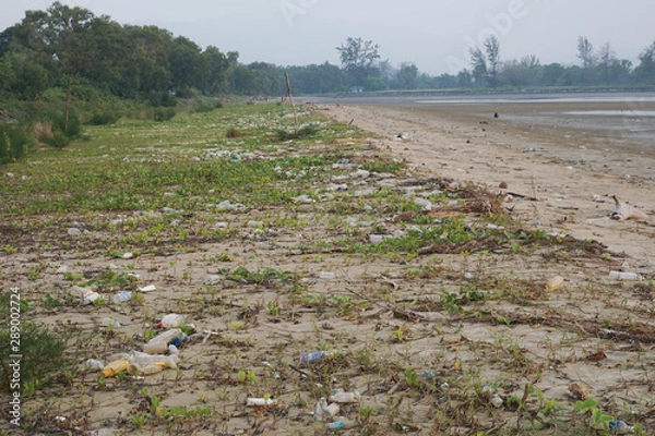 Fototapeta Lok Kawi, Kota Kinabalu, Sabah, Malaysia - September 08, 2019: There is a lot of rubbish left in Lok Kawi Beach. This rubbish are dumped into the sea and washed away to this beach.