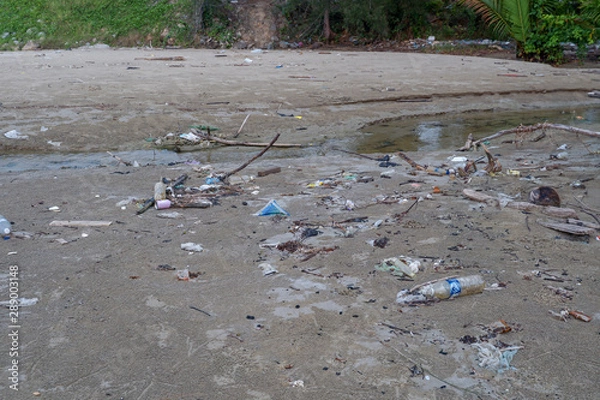 Fototapeta Lok Kawi, Kota Kinabalu, Sabah, Malaysia - September 08, 2019: There is a lot of rubbish left in Lok Kawi Beach. This rubbish are dumped into the sea and washed away to this beach.