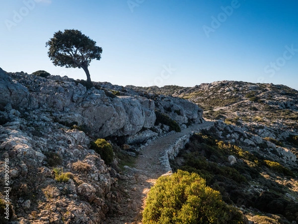 Obraz Hiking Mallorca