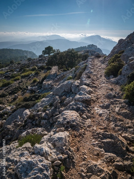 Fototapeta Hiking Mallorca