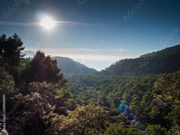 Fototapeta Hiking Mallorca