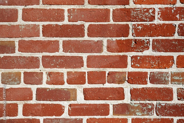 Obraz Old red brick wall close