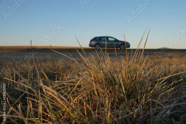 Obraz Auto hinter Gras