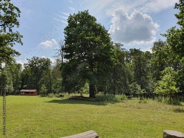 Obraz Natur (Germany)