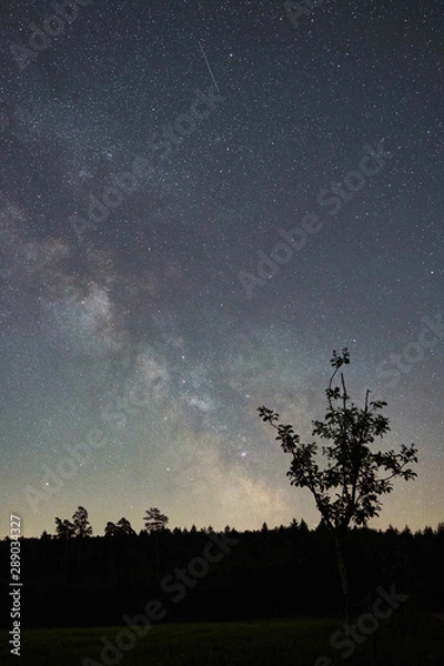 Obraz Milchstraße hinter Baum