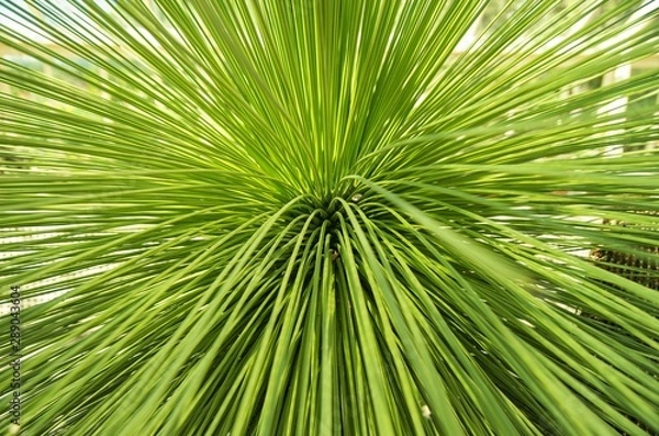 Obraz Green perspective