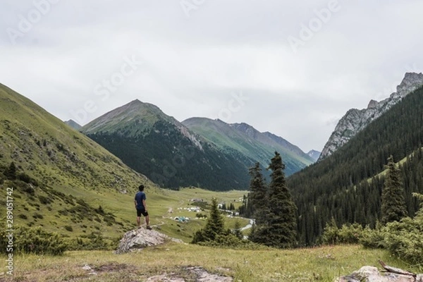 Obraz アルティンアラシャン