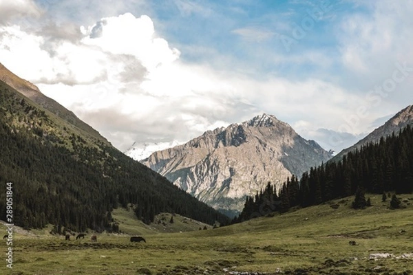 Fototapeta アルティンアラシャン