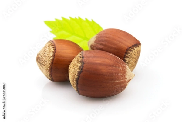 Obraz Hazelnuts with leaves