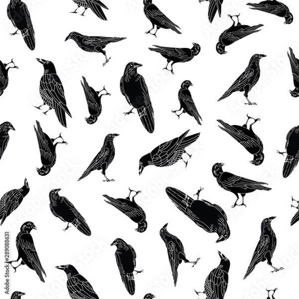Obraz Vector Black Crows Ravens Birds on White Background Seamless Repeat Pattern