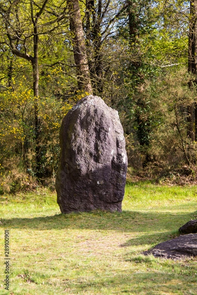 Obraz Menhir