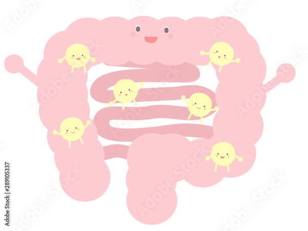 Obraz 大腸にいるかわいい善玉菌