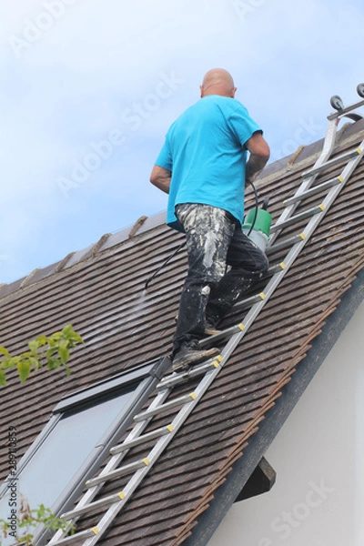 Fototapeta Démoussage de toit-9388