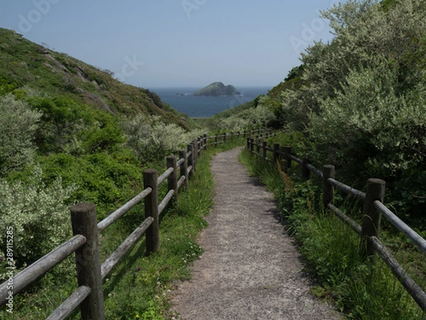 Fototapeta 遊歩道