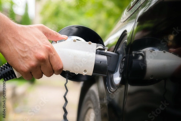 Fototapeta Mans hand inserting charger plug into electric car in green environment background. New energy vehicle, NEV is being loaded with electricity power. Ecology, modern day cars
