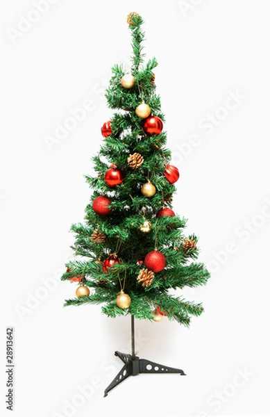 Obraz Cristmas spruce