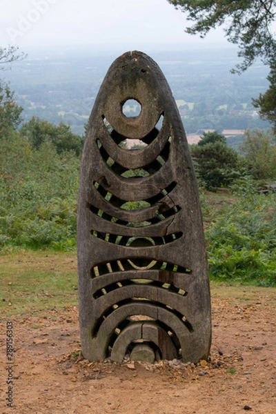 Obraz Close up of the Totem in the forest opening
