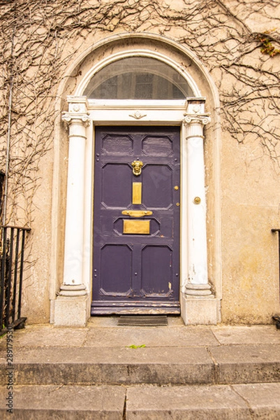 Fototapeta A purple door with columns in a street of row homes in Ireland