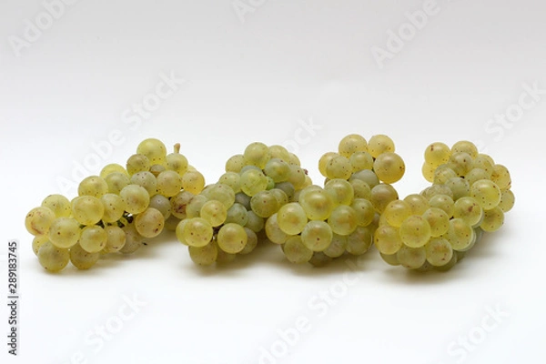 Obraz isolated green bunch of grapes on a white background