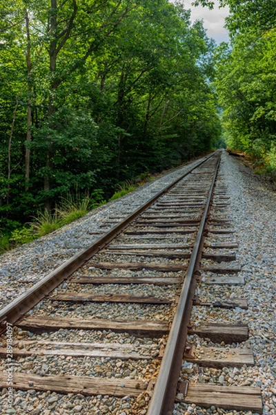 Fototapeta Railroad tracks
