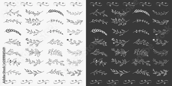 Obraz Hand Drawn Floral Elements Vector
